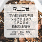 森土 No.3 雨林透氣特調｜龜背芋、觀音蓮｜室內專用｜模擬原生環境 拒絕悶根