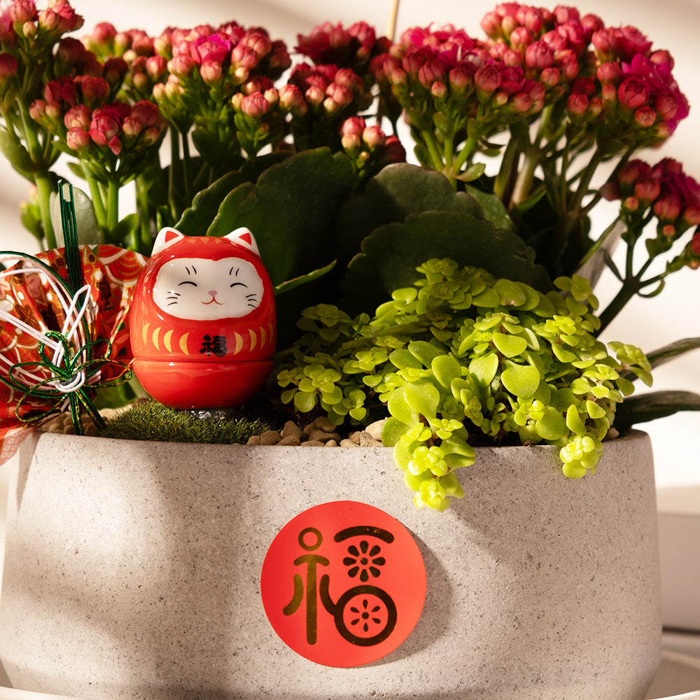 必勝・祈願之森｜好事成雙｜金玉滿堂｜必勝精神｜陽光植物