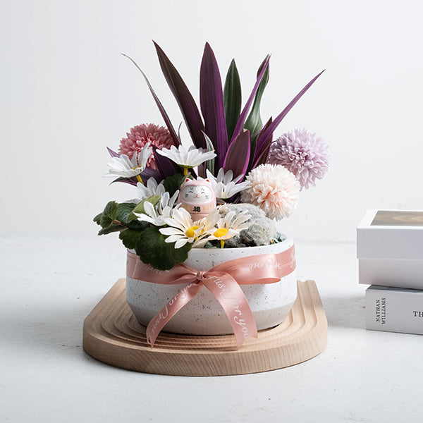 無敵幸福小花園 | 愛自己 | 可放室內 | 送禮、自用兩相宜 | 幸福植物 | 室內植物