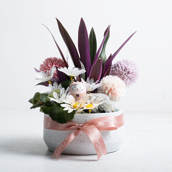 無敵幸福小花園 | 愛自己 | 可放室內 | 送禮、自用兩相宜 | 幸福植物 | 室內植物