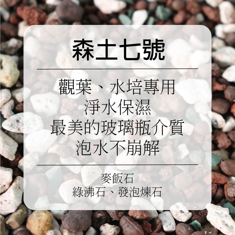森土 No.7 水耕淨化特調石｜觀葉、水培專用｜淨水保濕 最美的玻璃瓶介質