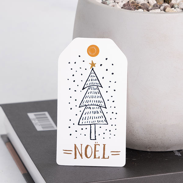 馬拉巴栗盆栽 | 招財化煞，新手入門首選 | 森林有塊田