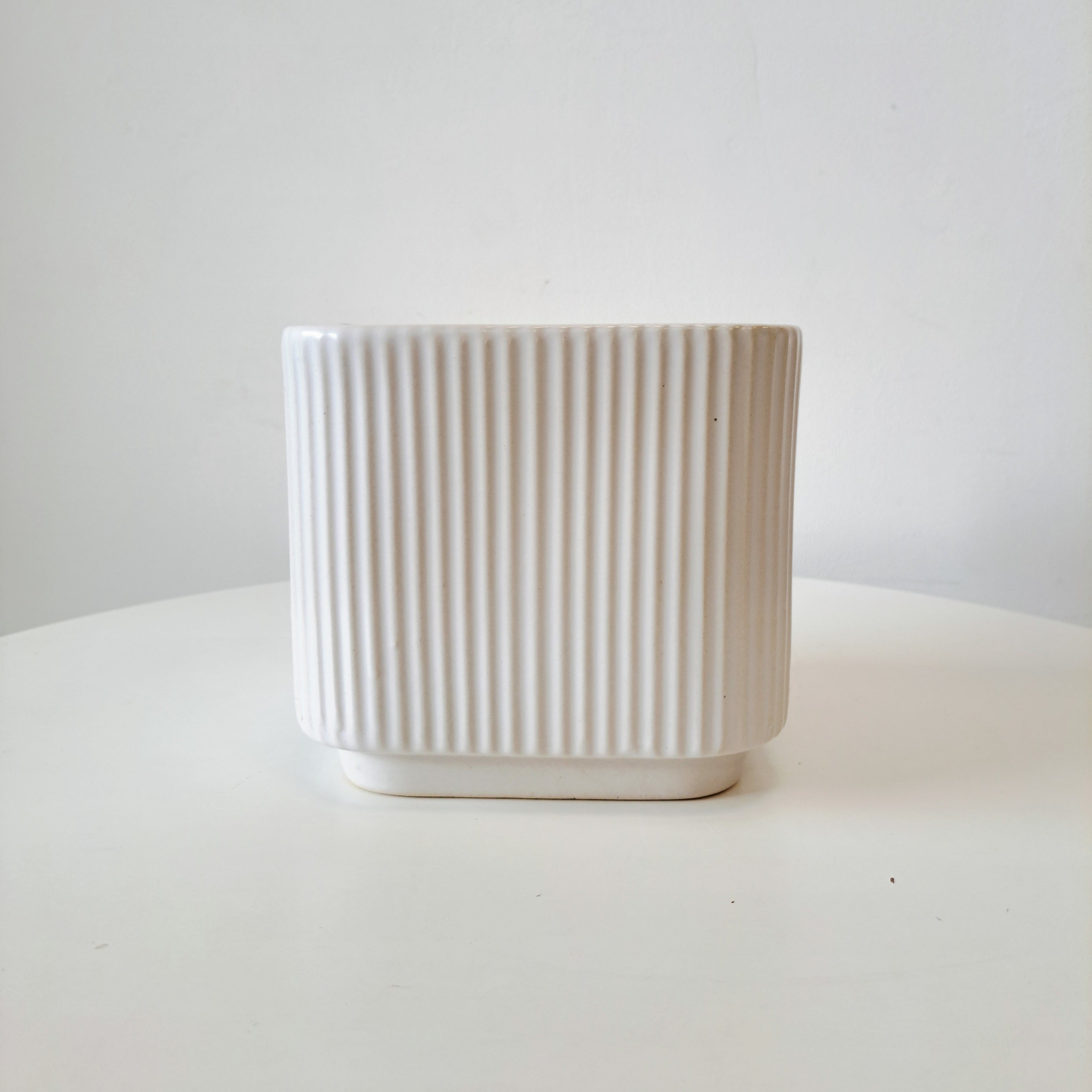 西班牙薰衣草 | 兔子的小耳朵 | 濃烈的薰衣草香氣 | 陽光植物