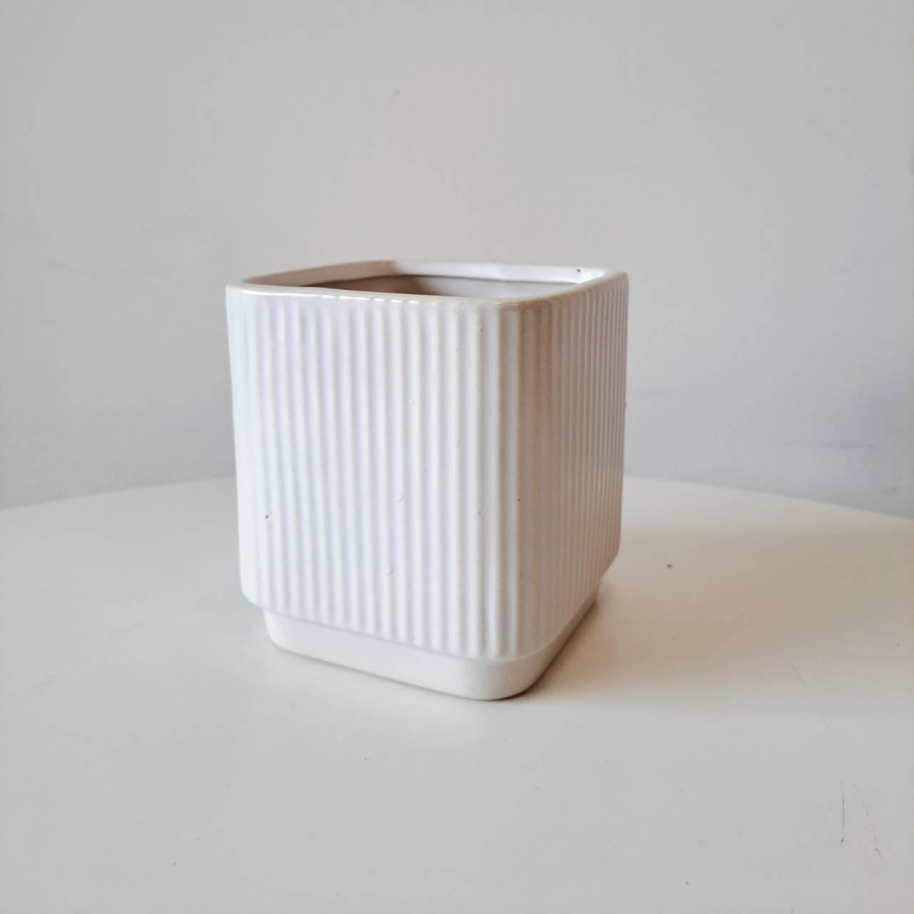 鳥尾花 | 花朵形似鳥尾 | 色彩鮮豔 | 陽光植物