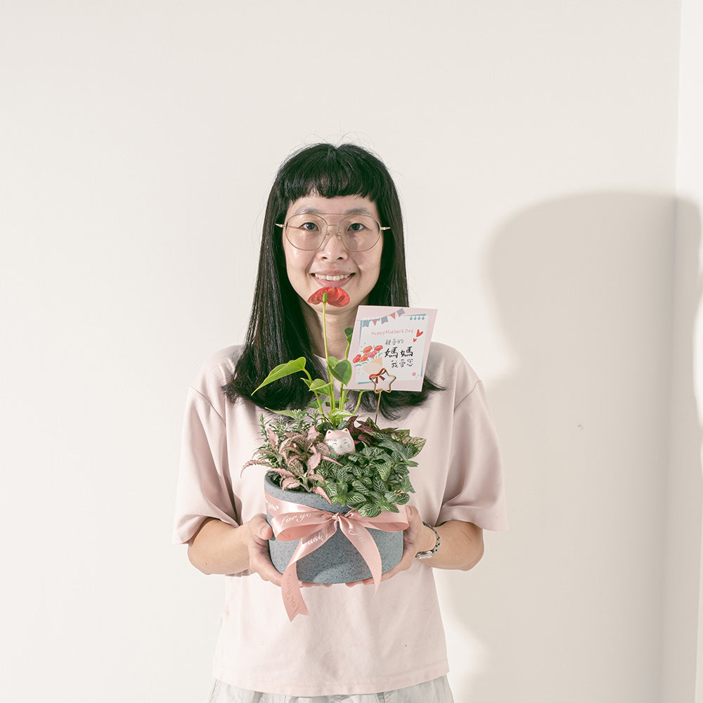 無敵幸福小花園 | 愛自己 | 可放室內 | 送禮、自用兩相宜 | 幸福植物 | 室內植物