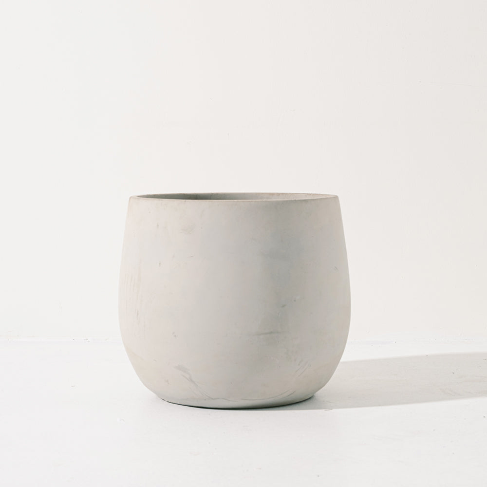 金豆 | 山金橘 | 金玉滿堂、大吉大利 | 果實可以食用 | 陽光植物