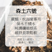 森土 No.6 森林微潤呼吸土｜蕨類、秋海棠專用｜保水不積水 呵護纖細根系