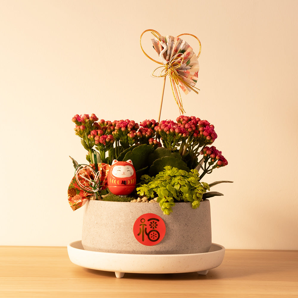 必勝・祈願之森｜好事成雙｜金玉滿堂｜必勝精神｜陽光植物