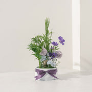 富貴有餘小花園 | 吉祥富貴、年年有餘、提升人際關係、防小人 | 送禮、自用兩相宜  | 室內植物