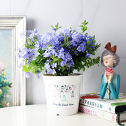 藍雪花 | 藍花丹 | 陽光植物 | 好照顧