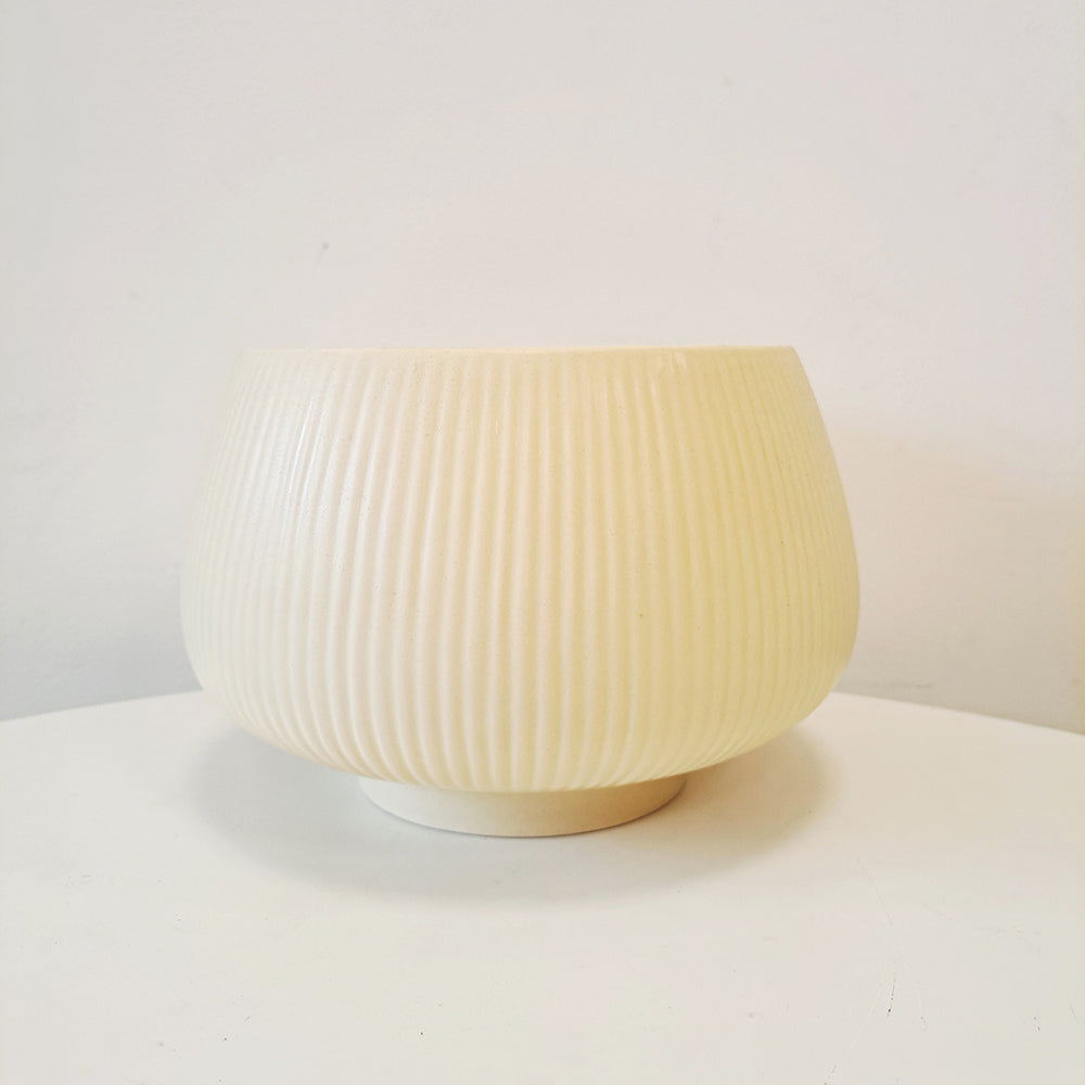 鳥尾花 | 花朵形似鳥尾 | 色彩鮮豔 | 陽光植物