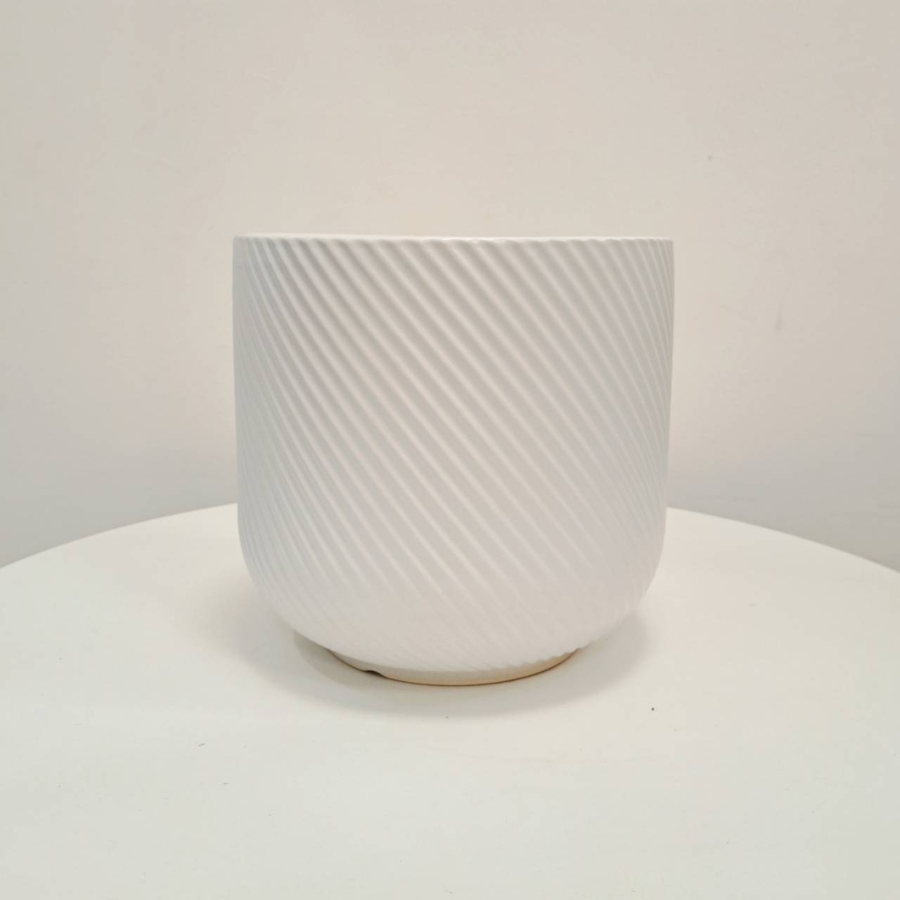 蕾絲薰衣草 | 高大的薰衣草 | 淺紫藍色的花 | 陽光植物