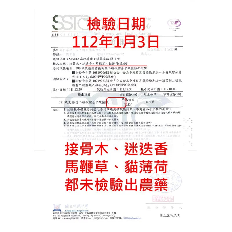 直立型迷迭香 | 最受歡迎的香料 | 牛排、馬鈴薯、烤雞 | 陽光植物