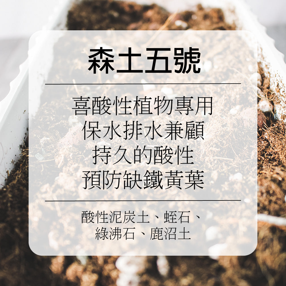 森土 No.5 酸性植物專用土｜藍莓、茶花專用｜天然低 pH 值 預防缺鐵黃葉