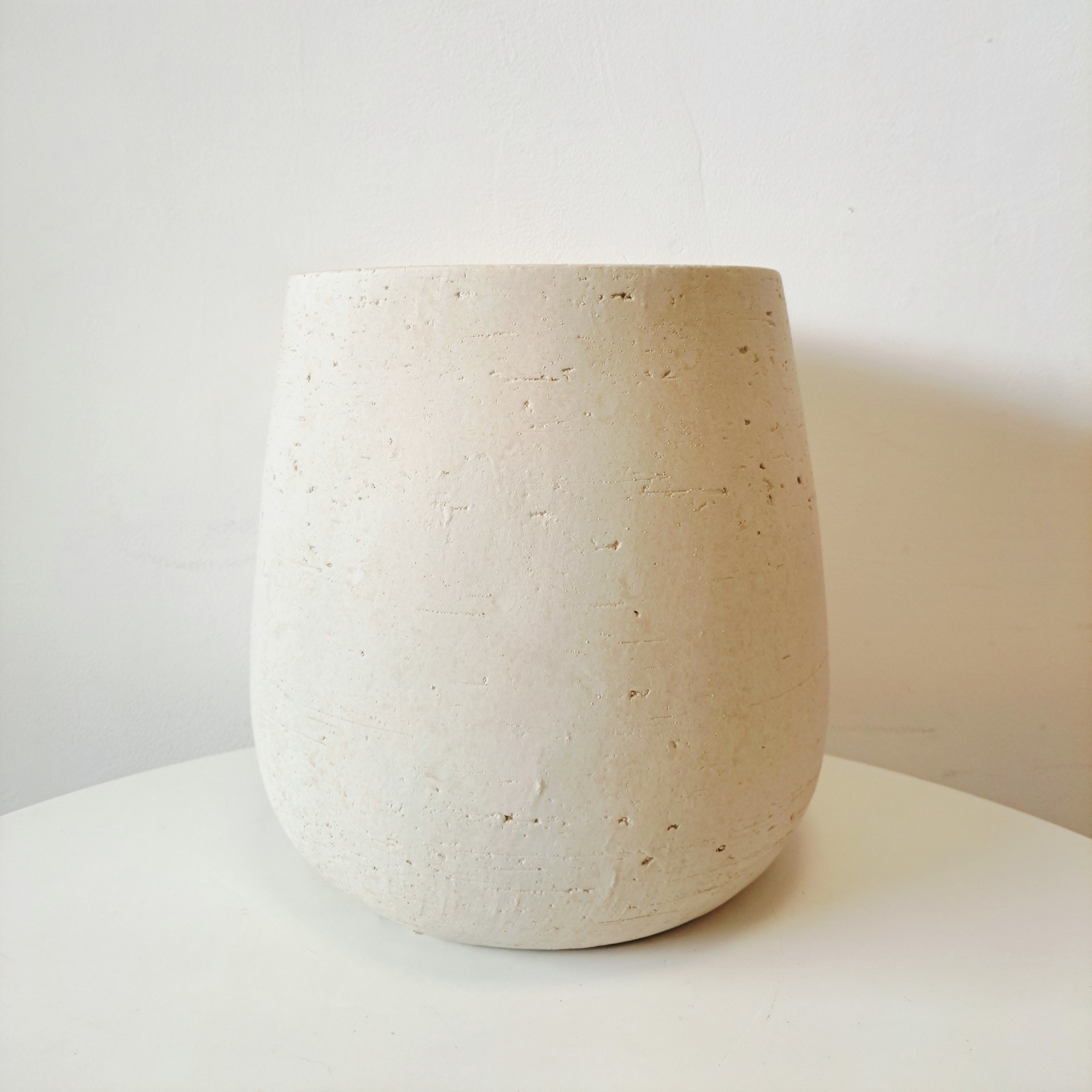 黃椰子盆栽 | 招財納福首選 | 淨化空氣優等生 | 兒童、 寵物安全 | 小型棕櫚｜室內植物 | 小品盆栽