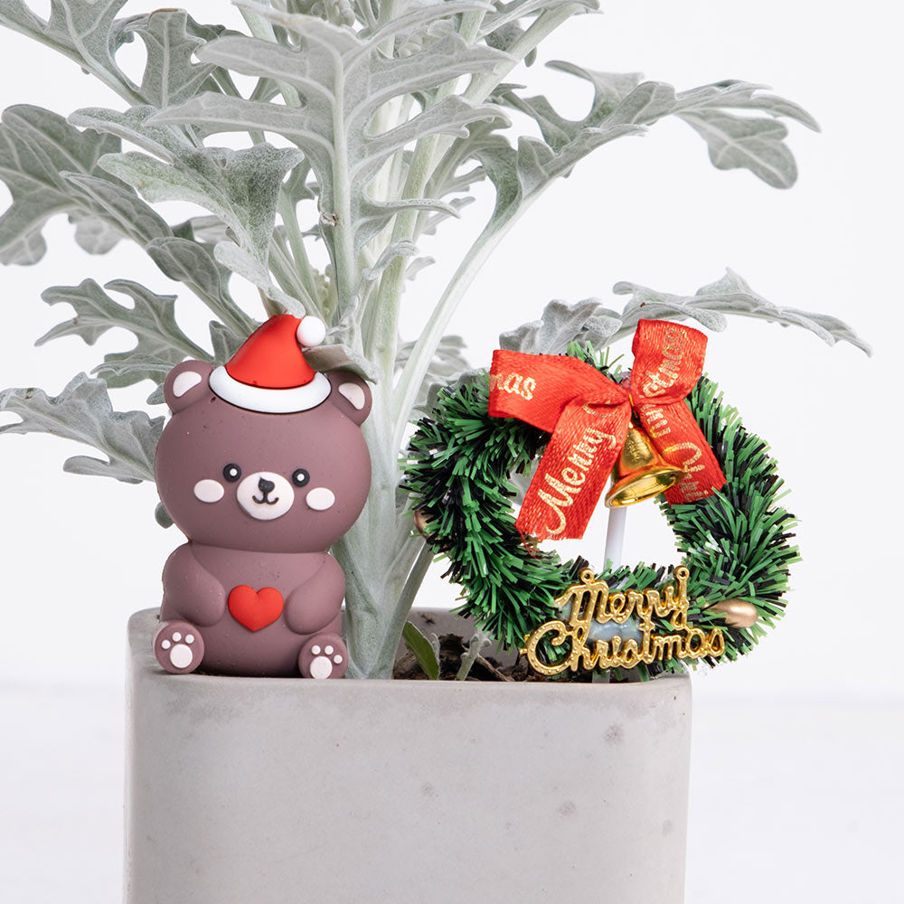 聖誕熊的小心願 | 北歐風的白色耶誕 | 陽光植物