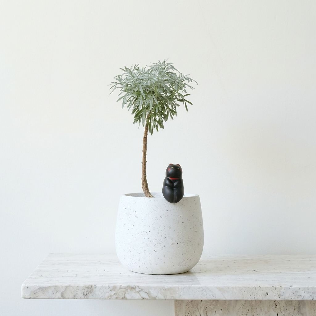 日本芙蓉盆栽 | 獨特造型與吉祥風水 | 化解路沖、壁刀 | 陽光植物