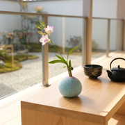 石斛蘭苔球｜寵物友善｜淨化室內甲醛與二甲苯｜室內植物