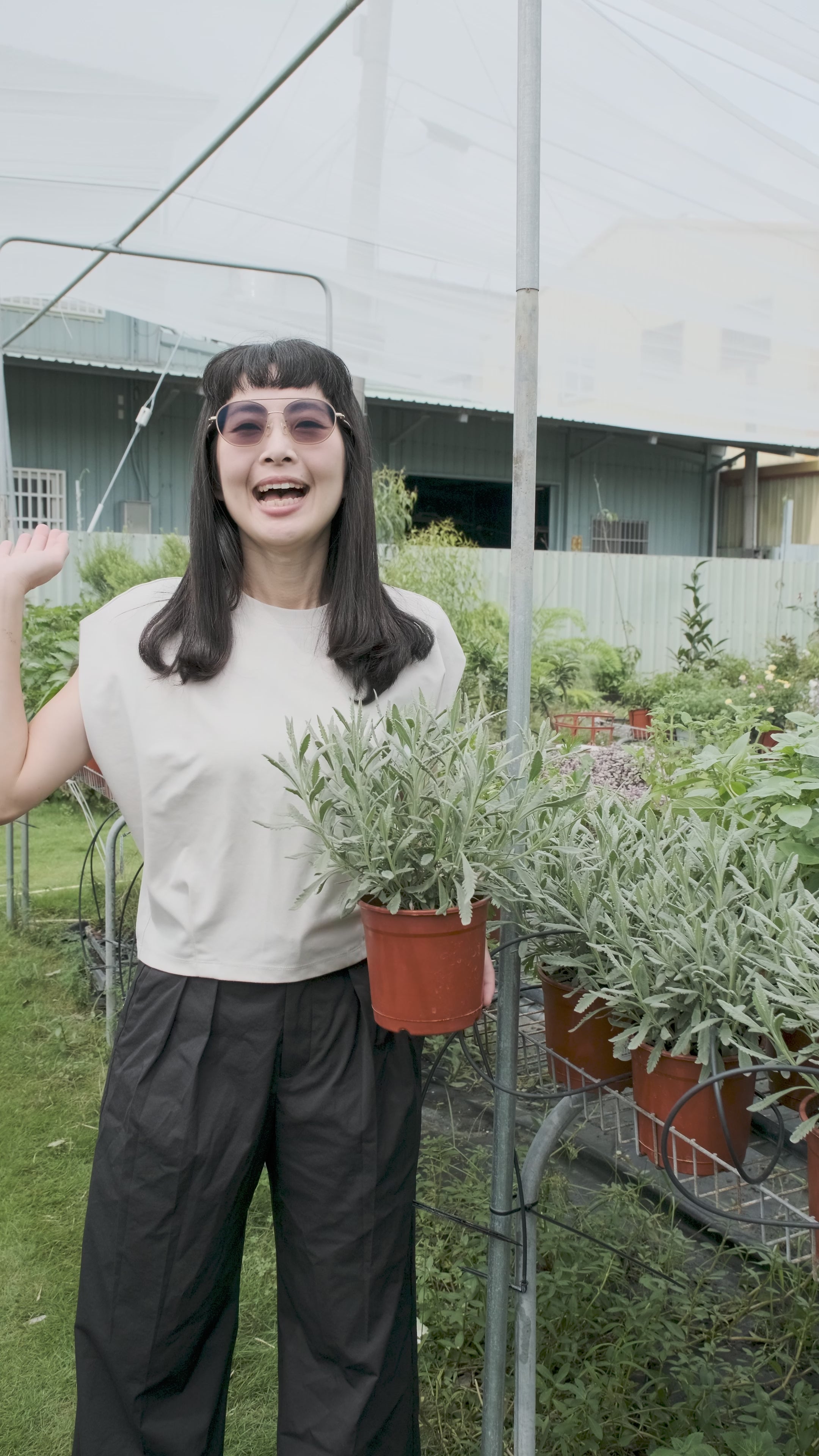 載入影片：不怕下雨的植物