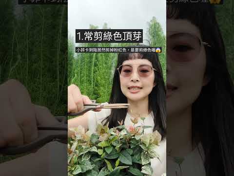載入影片：
